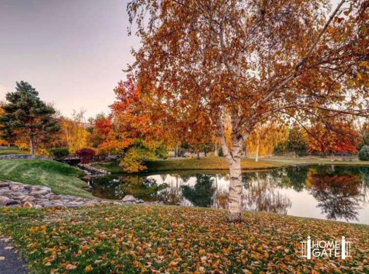 Neighborhood Spotlight Caughlin Ranch - Reno Neighborhoods - Alan Hoffman - HomeGate Realty - HomeGate - Reno Real Estate - Northern Nevada Real Estate - Caughlin Ranch