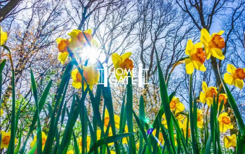 alan hoffman homegate realty alan hoffman realtor alan hoffman broker magda martinez homegate realty