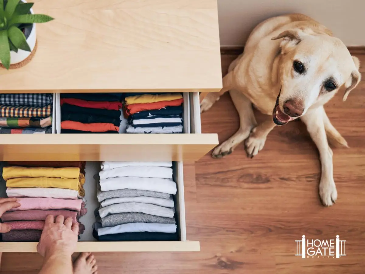 Decluttering For Fall: What To Clear Out Before The Cooler Months - Alan Hoffman - Magda Martinez - HomeGate Realty - Northern Nevada Real Estate - Nevada Real Estate - Reno Real Estate - HomeGate -
