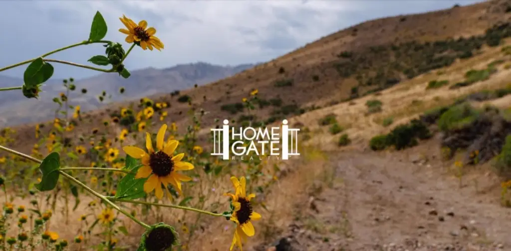 homegate realty alan hoffman magda martinez reno nv real estate