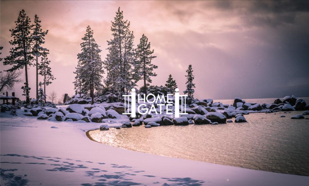 homegate realty alan hoffman magda martinez reno nv real estate