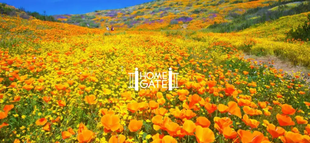 march 2025 newsletter homegate realty reno nv alan hoffman magda martinez