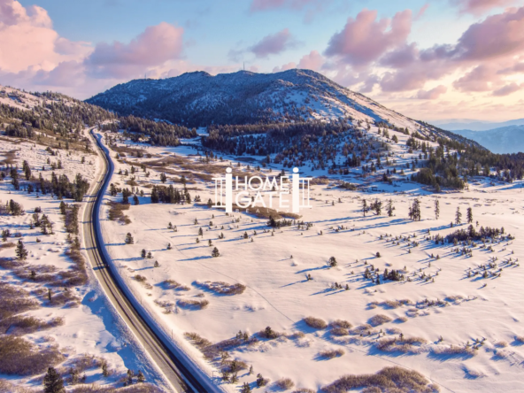 January 2026 Newsletter HomeGate Realty Reno Alan Hoffman