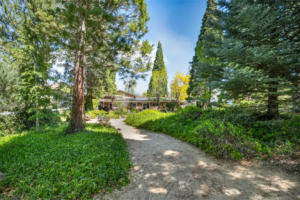 Under Contract in 5 Days: A Sanctuary in the Hills | The Story Behind 1720 Pass Drive, Reno NV 89509