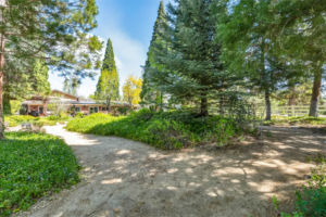 Under Contract in 5 Days: A Sanctuary in the Hills | The Story Behind 1720 Pass Drive, Reno NV 89509