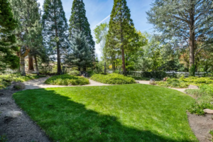 Under Contract in 5 Days: A Sanctuary in the Hills | The Story Behind 1720 Pass Drive, Reno NV 89509