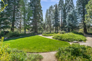 Under Contract in 5 Days: A Sanctuary in the Hills | The Story Behind 1720 Pass Drive, Reno NV 89509