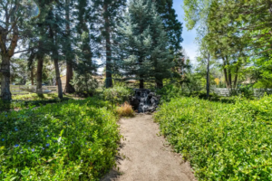 Under Contract in 5 Days: A Sanctuary in the Hills | The Story Behind 1720 Pass Drive, Reno NV 89509