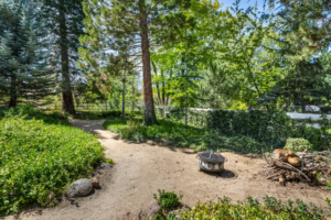 Under Contract in 5 Days: A Sanctuary in the Hills | The Story Behind 1720 Pass Drive, Reno NV 89509