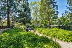 Under Contract in 5 Days: A Sanctuary in the Hills | The Story Behind 1720 Pass Drive, Reno NV 89509