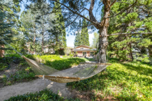 Under Contract in 5 Days: A Sanctuary in the Hills | The Story Behind 1720 Pass Drive, Reno NV 89509