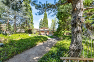 Under Contract in 5 Days: A Sanctuary in the Hills | The Story Behind 1720 Pass Drive, Reno NV 89509