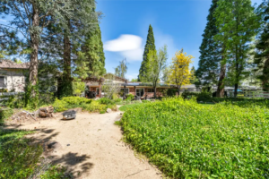 Under Contract in 5 Days: A Sanctuary in the Hills | The Story Behind 1720 Pass Drive, Reno NV 89509