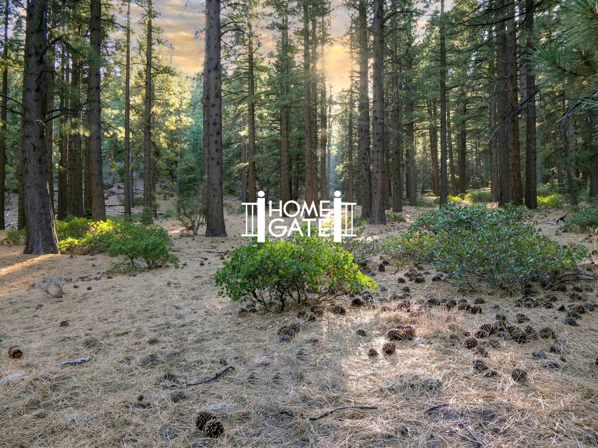 Galena Forest Estates: Mountain Living Meets Everyday Convenience in South Reno