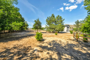 Resort-Style Living Meets Equestrian Luxury at 5345 Cross Creek Lane, Reno, NV 89511