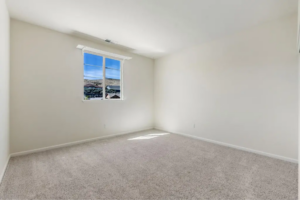 Luxury Living with Unforgettable Views at 3194 Ten Mile Dr, Sparks, NV 89436
